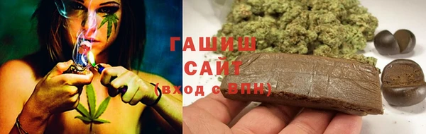 2c-b Пестово