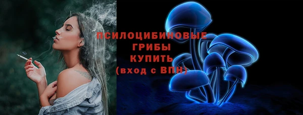 2c-b Пестово