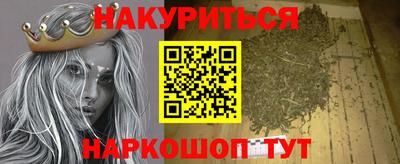 Альфа ПВП Гатчина