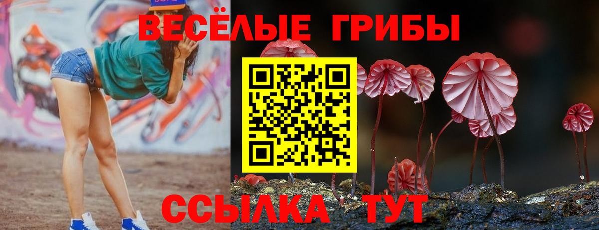 Красноперекопск  Галлюциногенные грибы MAGIC MUSHROOMS  Вход с VPN 
